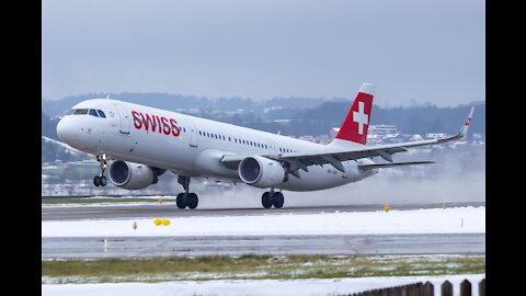 A bat-sized bird. Downing of a passenger plane