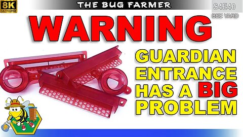 WARNING: Guardian Entrance has a BIG Problem. | Pollen Loss #beekeeping #insects #bees #entomology