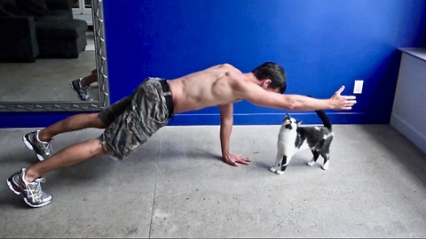 Trying To Exercise With Cats Around Is Impossible!