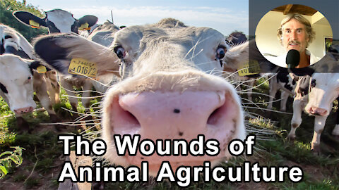 If We Don't Heal The Wound Of Animal Agriculture, The Earth Will Be Burned Up - Will Tuttle, PhD