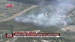 Brush fires prompt voluntary evacuations in Pasco County