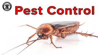 Pest Control