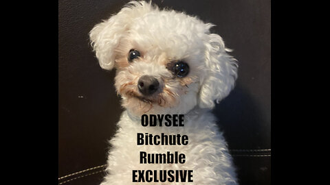 Rumble/Odysee/Bitchute Exclusive Hot Take: Jan 25th 2024 News Blast!