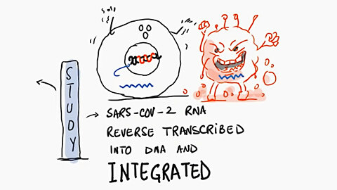 COVID-19 mRNA vaccines DO alter people's DNA (mRNA is reverse transcribed) new studies 2022