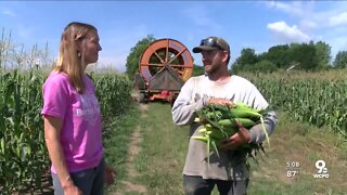 Lack of rain worries Butler County farmers