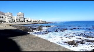 SOUTH AFRICA - Cape Town - Table Bay Kayaking (Video) (MBk)
