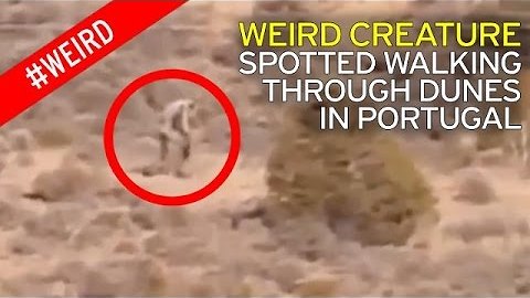 "Portuguese Giant" Spotted Roaming Through Desert Wasteland