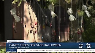 San Diego cities take unique approaches for Halloween