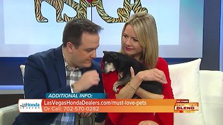 "Must Love Pets" Adoption Event