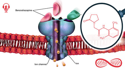 Nefiracetam: A Dissapointing Gabaergic Racetam