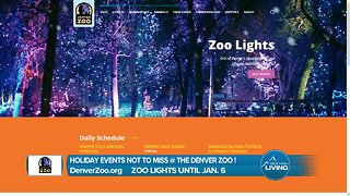 Denver Zoo Lights - Don't Miss this Awesome Holiday Event!