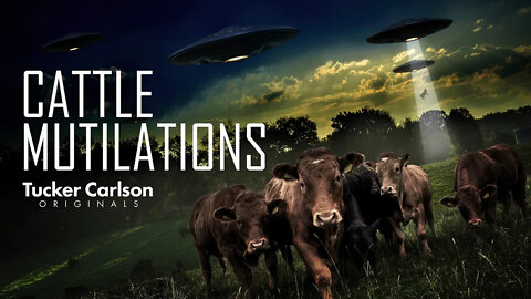Tucker Carlson Originals S02E05 - Cattle Mutilations