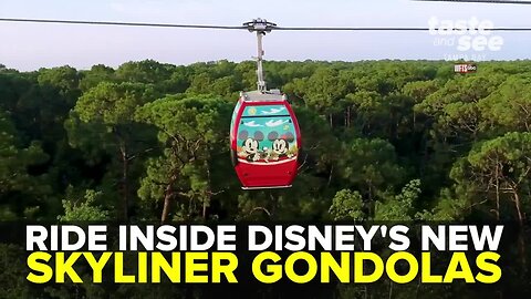 Disney Skyliner gondolas open at Walt Disney World | Taste and See Tampa Bay