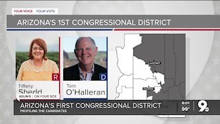 Candidates for Arizona's 1st Congressional District