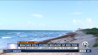 Many Palm Beach County beaches will remain closed Wednesday for red tide