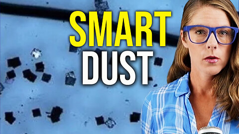 Smart dust technology - technocracy's new tool? || Ryan Cristiàn