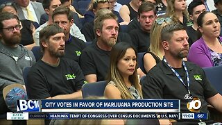 City votes in favor of marijuana production site
