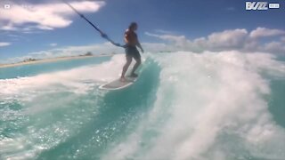 Un dauphin participe à une séance de wakeboard