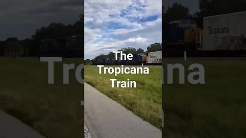 The Juice Train: Heading to the North. #shorts #short Florida Orange Juice!