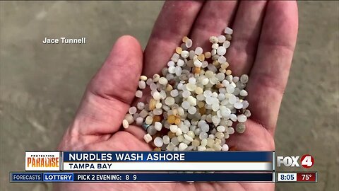 Nurdles found on beach near Sunshine Skyway Bridge