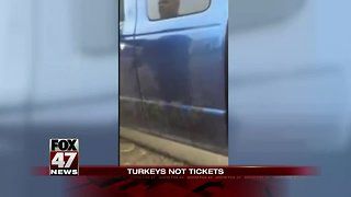 Traffic violators got turkeys instead of tickets