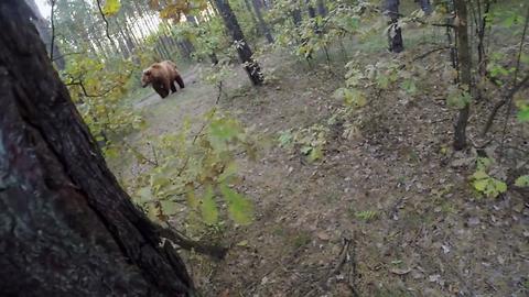 Brave Biker Manages To Outrun Wild Bear