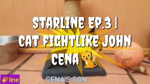 Starline Ep.3 | Cat fight like John Cena
