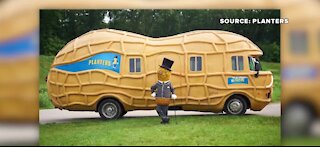 Planters looking for college graduates to drive Nutmobile