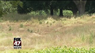 Meridian Twp. taking action to clean up old golf course