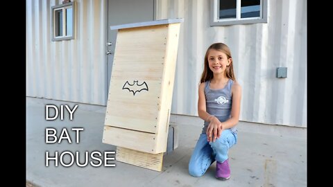 How to Build a DIY Bat House!