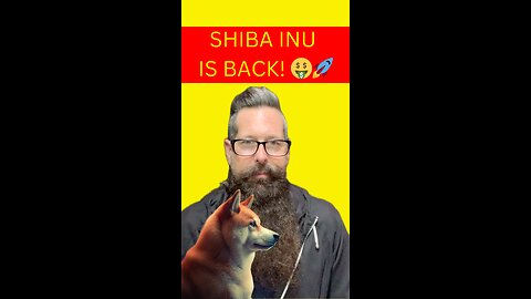 Shiba Inu’s Meteoric Rise: What’s Next for SHIB? #shibainu #crypto #shorts