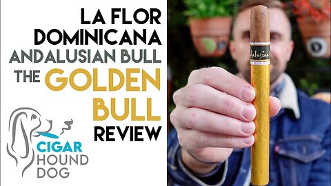 La Flor Dominicana Andalusian Bull The Golden Bull Cigar Review