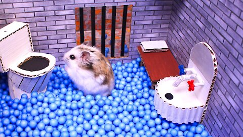 🐹Hamster escapes the awesome maze 🐹 in Hamster stories