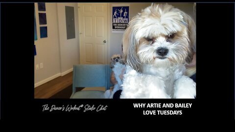 Why Artie and Bailey Love Tuesdays - TDW Studio Chat 88 with Jules and Sara