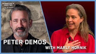 Are our elections being stolen? W/Marly Hornik