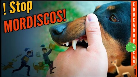 ⚠️ 5 Trucos para ADIESTRAR y ENSEÑAR a tu PERRO a NO MORDER 🐺🖐🏼