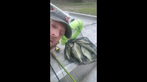 Bass removal pond management