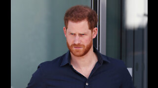 Prince Harry 'volunteered' to shoot therapy session