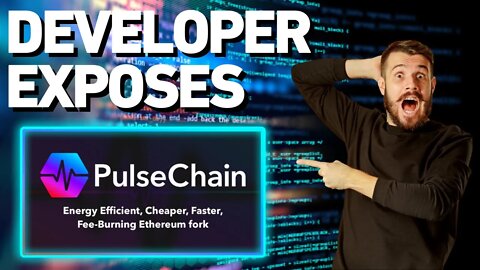 DEVELOPER EXPLAINS WHY PULSECHAIN DELAYED... #Pulsechain #Pulse