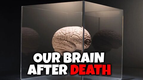 WHAT HAPPENS TO YOUR BRAIN WHEN YOU DIE? | AMAZING BRAIN FACTS | NERVES IN THE BRAIN