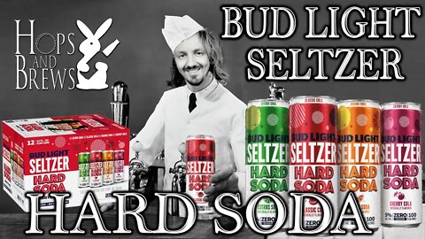 Bud Light Hard Soda Seltzer - Any Good?