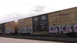 485 Westbound Manifest Train In Ontario CN 2293 & CN 2314 Locomotives