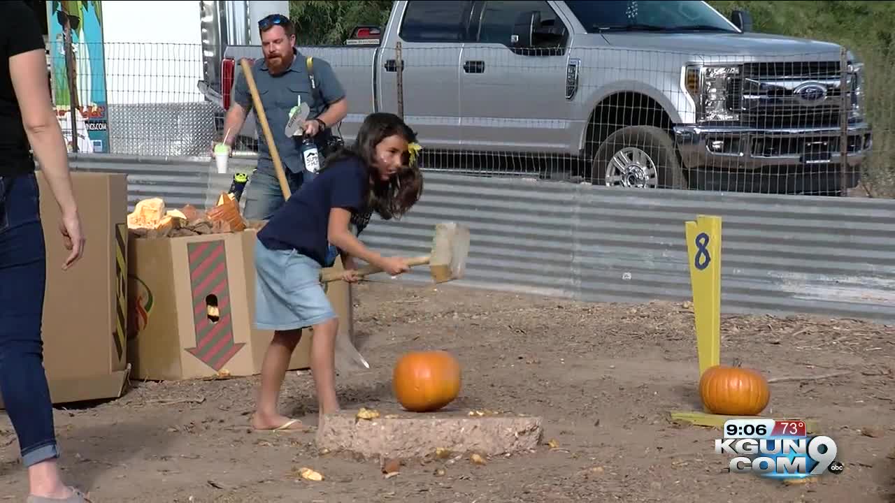 Tucson 'pumpkin smash' event turns Halloween leftovers into compost