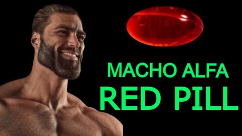 MACHO ALFA Liberto da Matrix O Guia Definitivo Red Pill Pílula Vermelha da Verdade Sobre as Mulheres