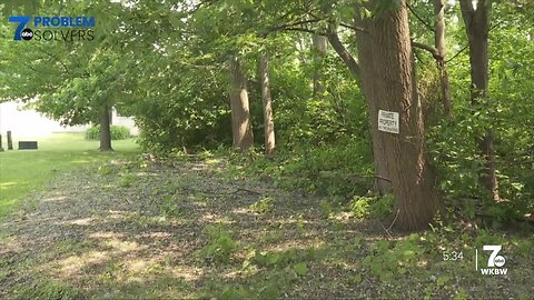 Concerns about falling trees at a Cheektowaga senior living complex