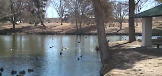 Las Vegas reminds people not to feed animals at city parks