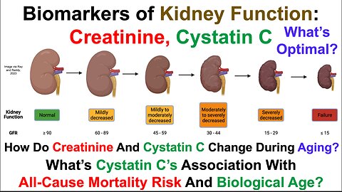 Biomarkers Of Kidney Function: Creatinine, Cystatin C, What's Optimal?