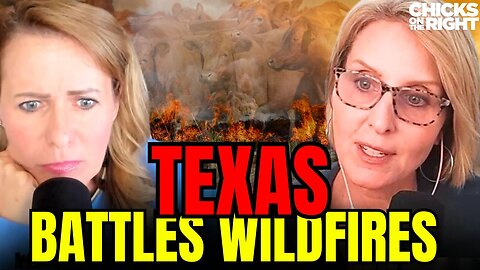 Texas Panhandle Wildfires: Conspiracies, Updates, & Long-Term Effects | Bulwark Capital