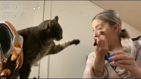 Cat wants to play with His Owner While getting Ready Work