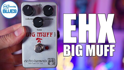 EHX Big Muff FUZZ - Unlimited Feedback and Sustain!